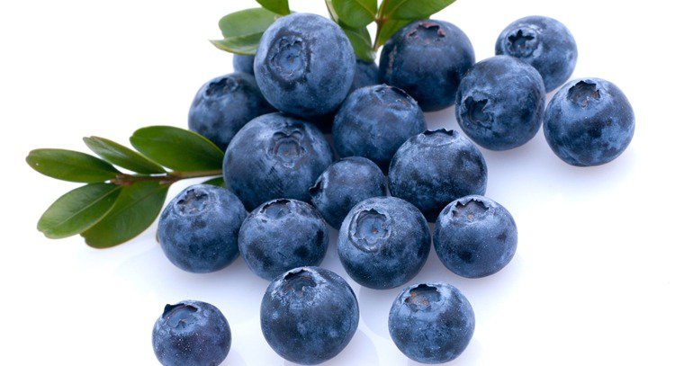 藍莓的奇特功效：預防陽痿！